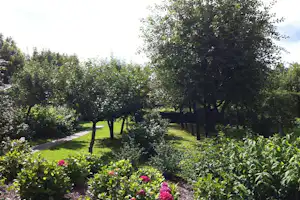 Gepflegter Garten mit Blumenbeeten, gepflastertem Weg und Bäumen im Schatten.