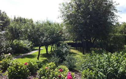 Camping Drentsheerlijk