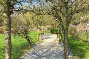 Schotterweg durch den Campinggarten, gesäumt von Bäumen und Hecken, mit Zaun und Gartenfläche im Hintergrund.