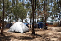 CAMPING DREPANOS - Wohnwagen- und Zeltstellplatz unter Bäumen mit Blick auf das Mittelmeer