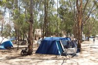 CAMPING DREPANOS - Wohnwagen- und Zeltstellplatz vom Campingplatz unter Bäumen