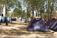 CAMPING DREPANOS - Zeltstellplatz vom Campingplatz im Schatten von Bäumen