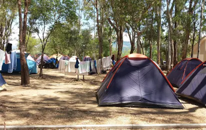 Camping Drepanos