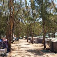 CAMPING DREPANOS - Zelt- und Wohnwagenstellplätze im Grünen auf dem Campingplatz 
