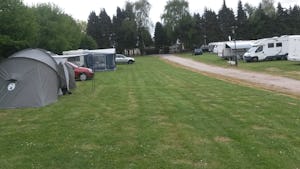 Camping Druivenland - Zeltwiese