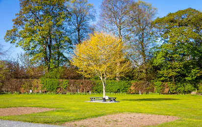 Drummohr Camping and Glamping Site