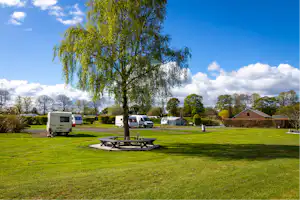 Camping Drum Mohr - Standplatzwiese auf dem Campingplatz