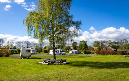 Drummohr Camping and Glamping Site