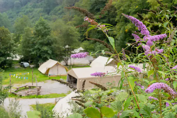 Domaine du Bocq