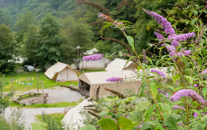 Domaine du Bocq