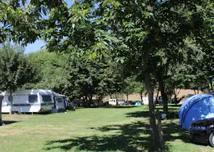 Campingplatz mit Rasenfläche, Wohnwagen und Zelten zwischen Bäumen, im Hintergrund weitere Stellplätze.