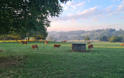 Camping du Bois Coutal