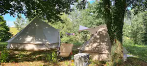 Zelte und ein Wohnwagen auf einem Campingplatz im Grünen, mit Bäumen, Gras und einem kleinen Tisch im Vordergrund.