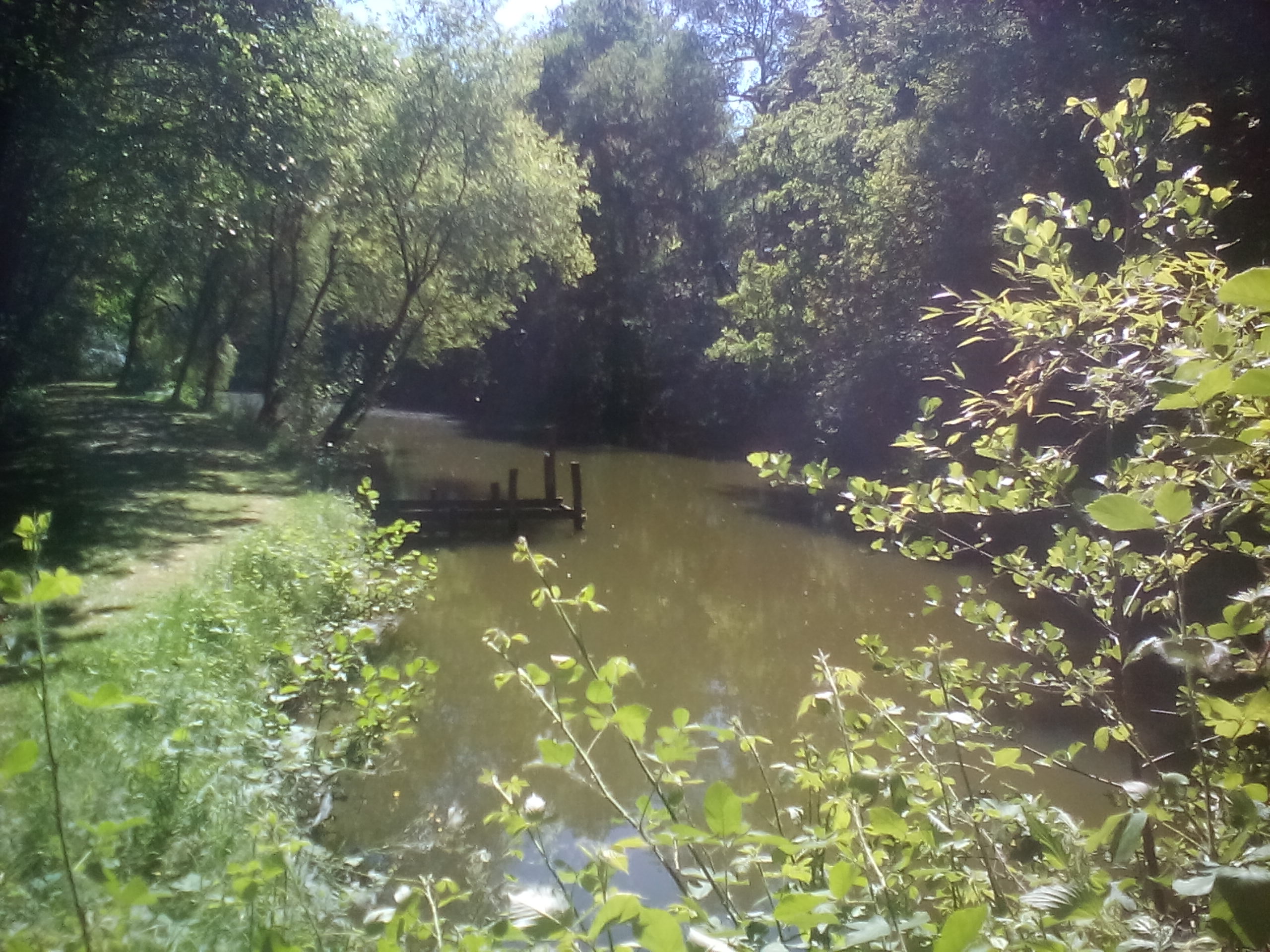 Camping Le Bois Fleuri