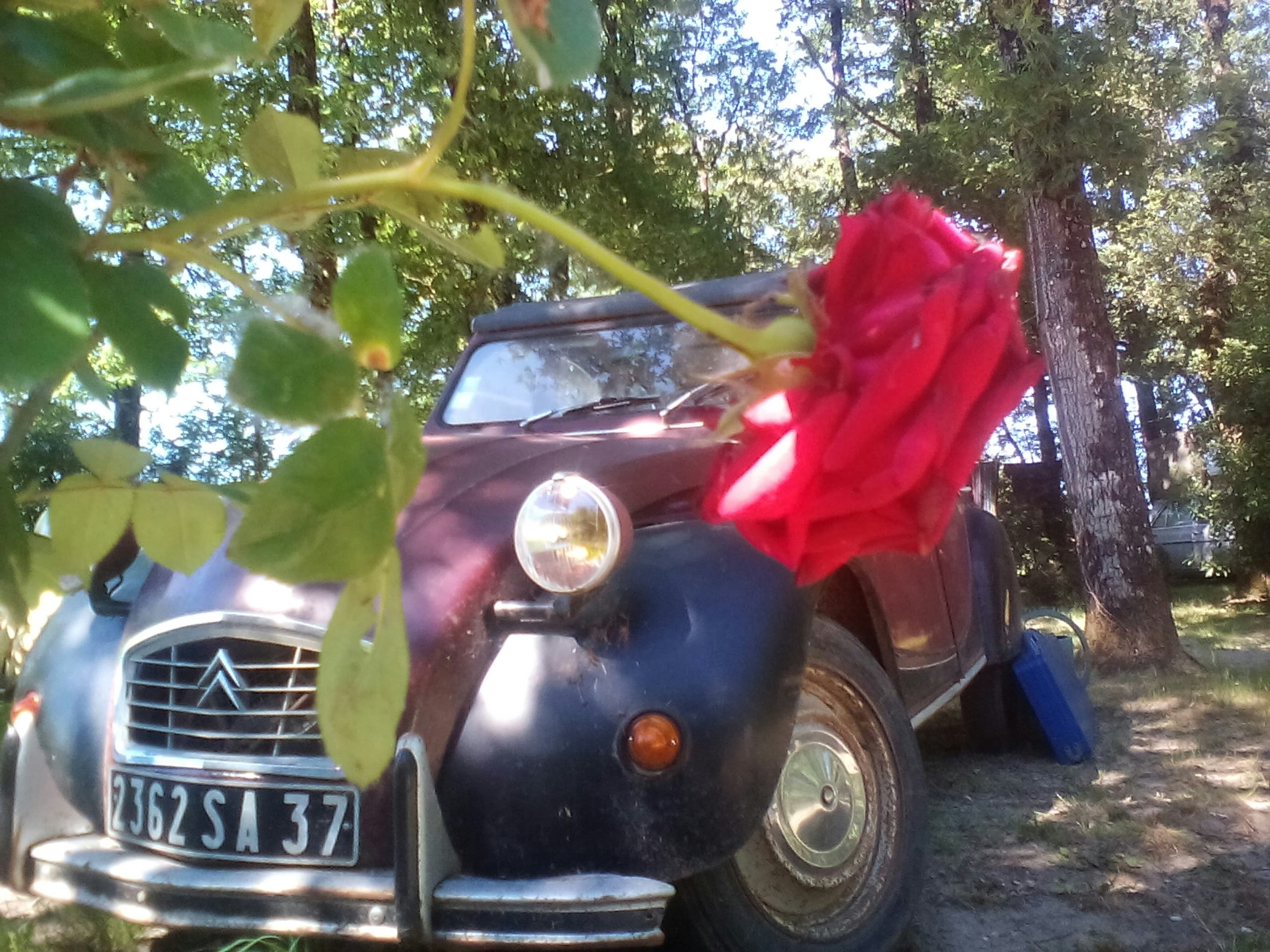 Camping Le Bois Fleuri