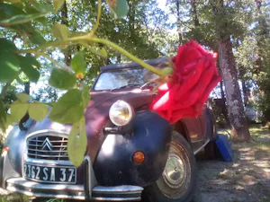 Camping Le Bois Fleuri