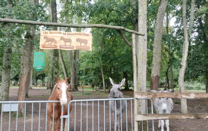 Camping du Château de Chambonnières