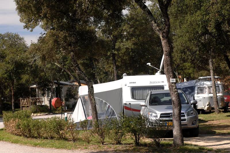 Camping du Domaine de Massereau  -  Stellplatz vom Campingplatz zwischen Bäumen