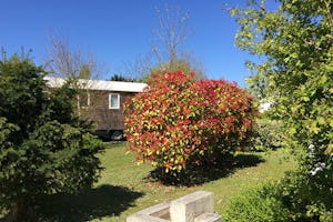 Camping du Futur - Mobilheim auf dem Campingplatz hinter Büschen