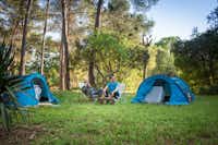 Camping du Garlaban  -  Camper auf dem Zeltplatz vom Campingplatz auf grüner Wiese