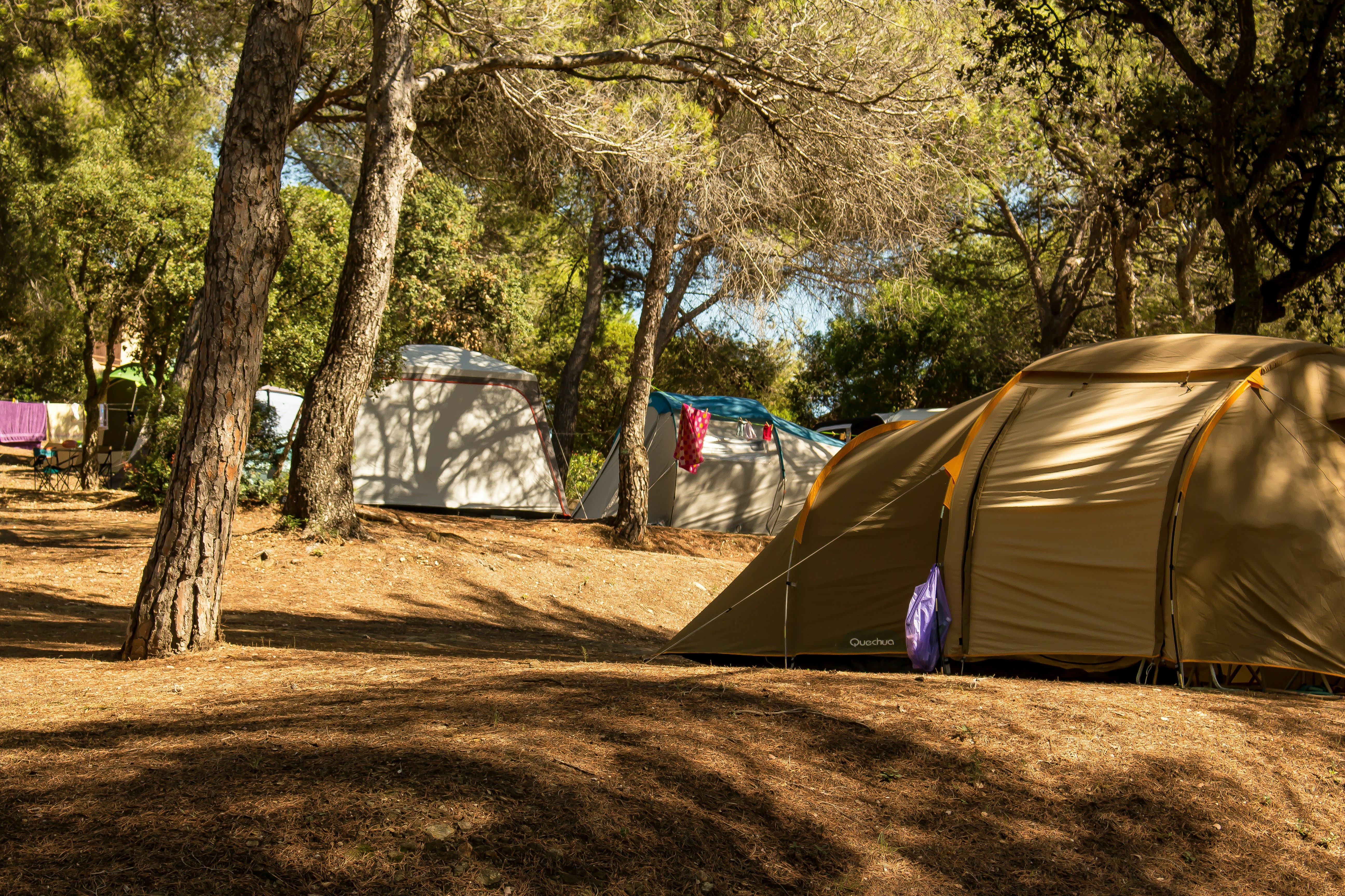 Camping du Grand Batailler - Blick auf die Zeltplätze im Schatten der Bäume