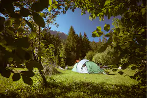 Zelt auf einem Campingplatz im Grünen, umgeben von Bäumen und Wiese, im Hintergrund Berge und Wald.