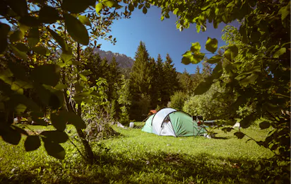 Camping du Grand Paradis