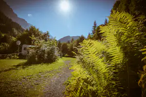 Campingweg durch ein grünes Tal, Farnpflanzen am Rand und Berge in der Ferne, die Sonne scheint am Himmel.