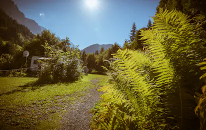 Camping du Grand Paradis