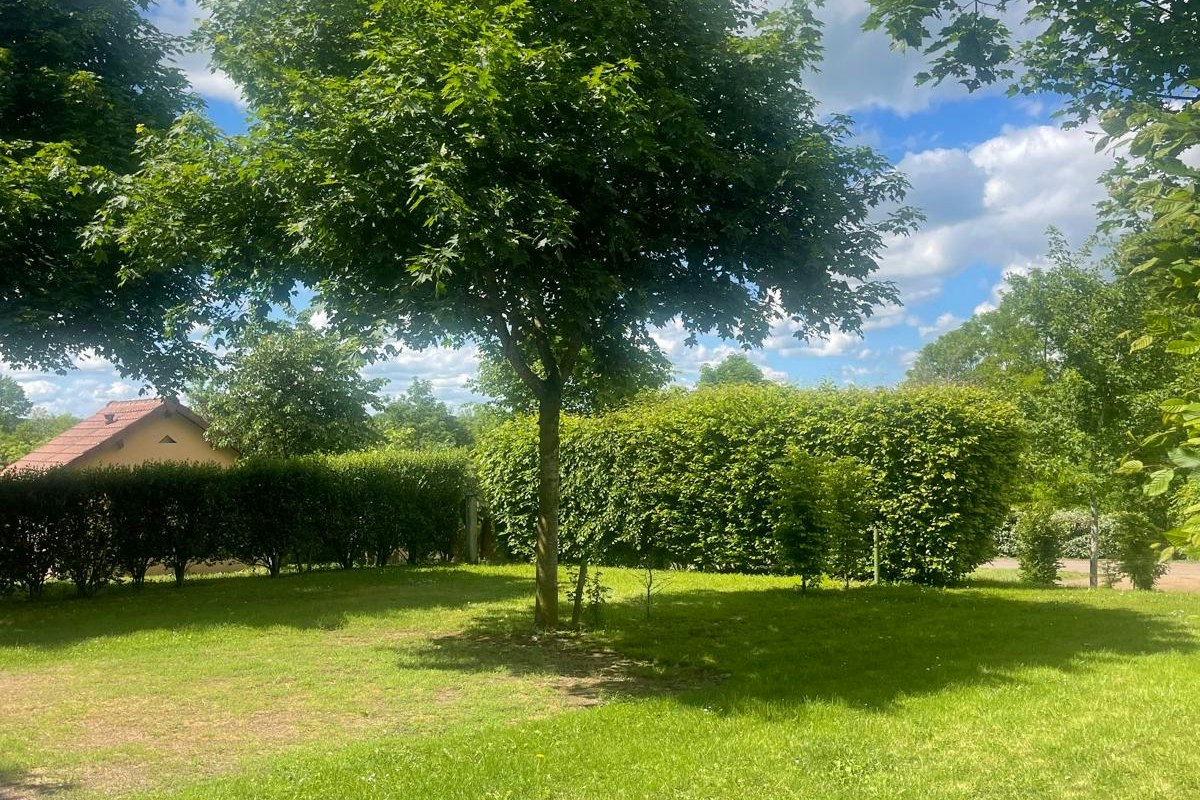 Grüner Campingplatz mit Rasenfläche, schattenspendendem Baum und Hecken, im Hintergrund ein Gebäude mit rotem Dach.