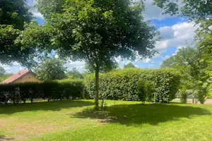 Grüner Campingplatz mit Rasenfläche, schattenspendendem Baum und Hecken, im Hintergrund ein Gebäude mit rotem Dach.