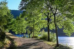 Waldweg am Seeufer mit Bäumen und Sträuchern, im Hintergrund Hügel und ruhiges Wasser.