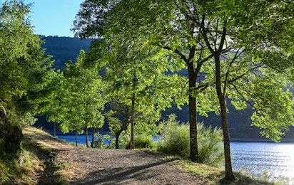 Camping Lac de Villefort