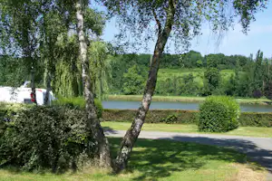 Weg im Campingbereich am See, umgeben von Bäumen und Hecken, im Hintergrund grünes Ufer und Wiesen.