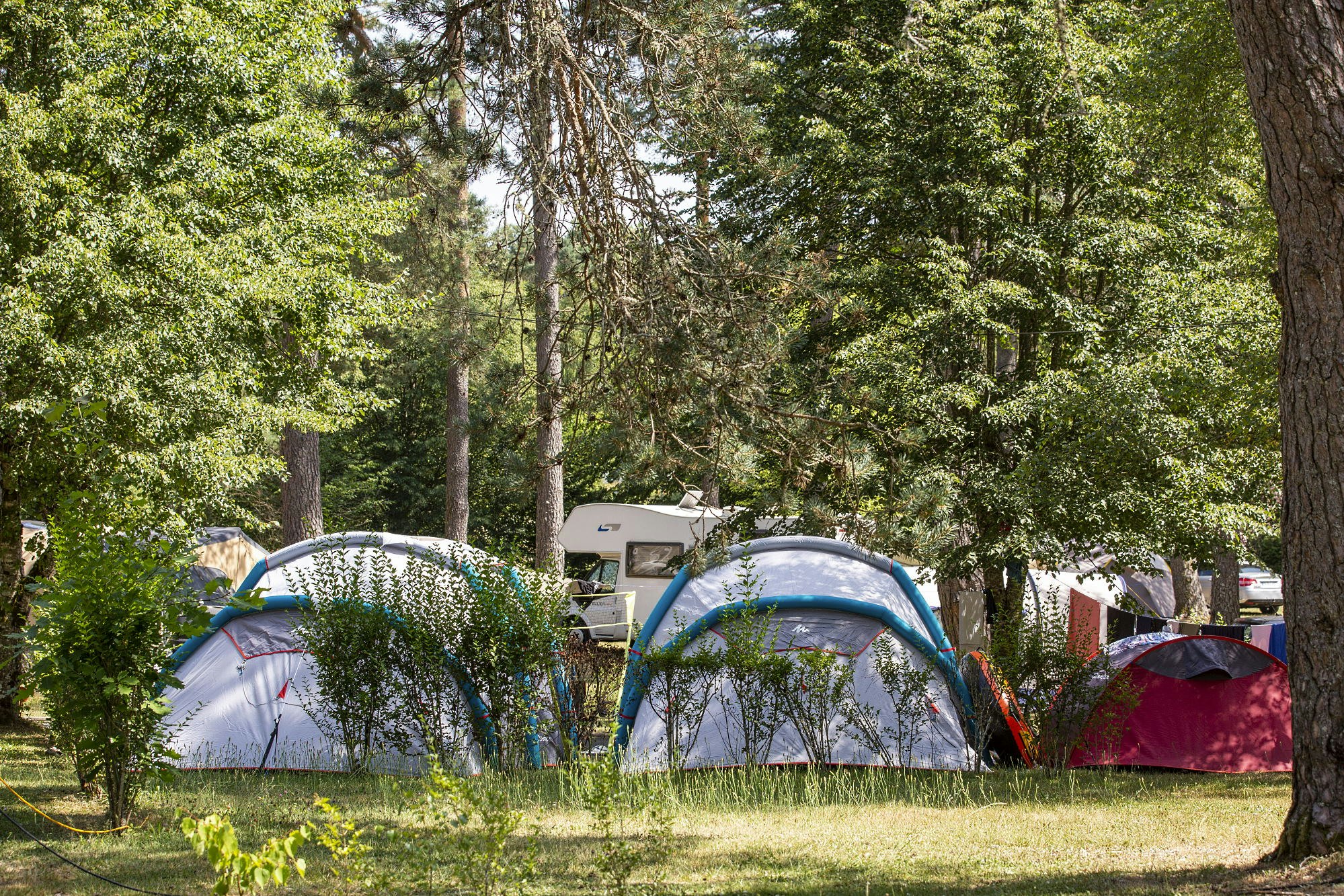Camping du Lac - Blick auf die Zeltplätze zwischen den Bäumen