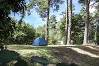 Camping du Lac d'Aydat - Zelte auf dem Campingplatz zwischen Bäumen