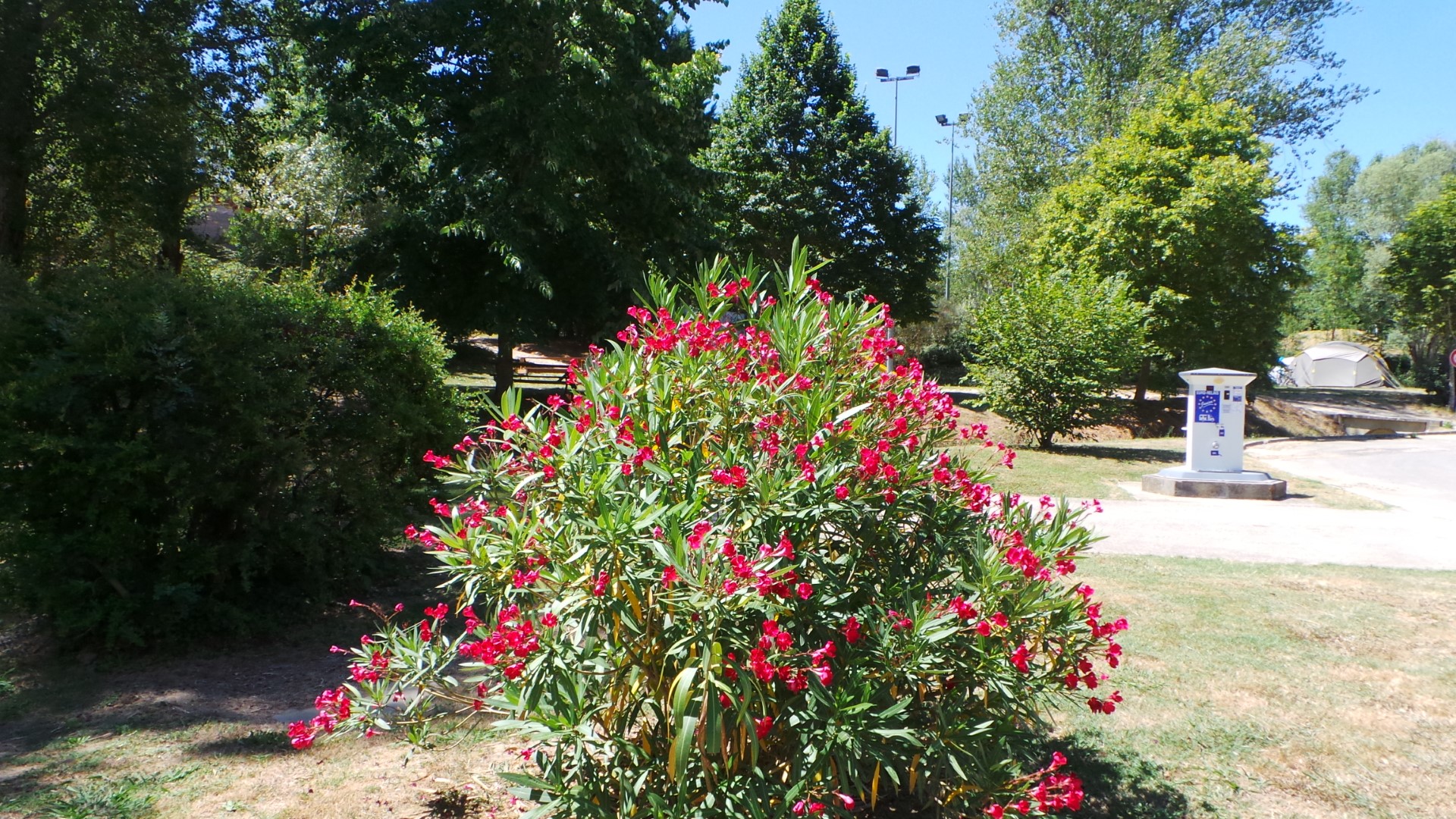 Flower Camping du Lac de la Thésauque