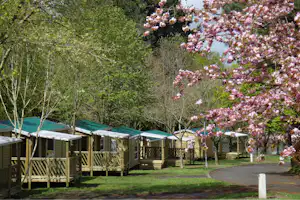 Camping du Lac de Savenay - Mobilheime im Grünen auf dem Campingplatz