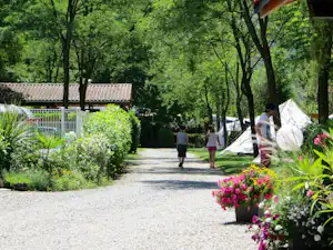 Campingweg zwischen Bäumen mit Blumenbeeten und Sitzgelegenheiten, im Hintergrund Gebäude mit Ziegeldach und Hecken.