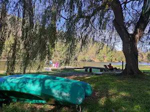 Campingplatz am See mit Liegestühlen auf dem Rasen, großer Baum im Vordergrund und Steg am Ufer.
