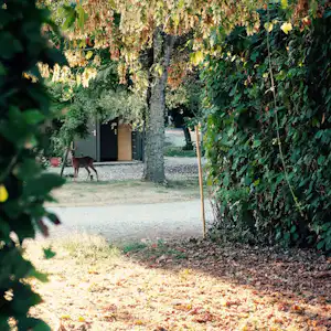 Camping du Manoir