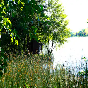 Ufer am See mit hohem Gras, Bäumen und einem kleinen Holzschuppen am Rand.