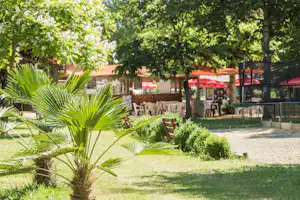 Garten mit Palmen, Kiesweg und Sitzplätzen auf einer Terrasse vor einem Restaurant am Campingplatz.