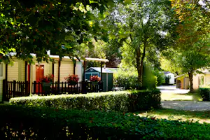 Reihen von Mobilheimen am Campingplatz, Hecken und ein Weg zwischen Bäumen im grünen Garten.