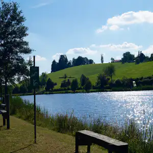 Holzbank am Seeufer mit Schilf, dahinter grüne Wiesen und Bäume unter blauem Himmel.