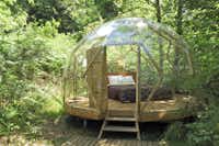 Camping du Mettey - Ferienwohnungen - Zimmer mit transparentem Wänden und Dach umringt von Wald