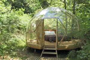 Glamping-Zelt mit gepolstertem Bett auf Holzpodest im Grünen, umgeben von Bäumen und dichtem Buschwerk.