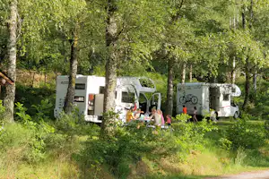 Wohnmobile und Campingbusse auf einem Stellplatz im Grünen, umgeben von Bäumen und einem kleinen Holzunterstand.