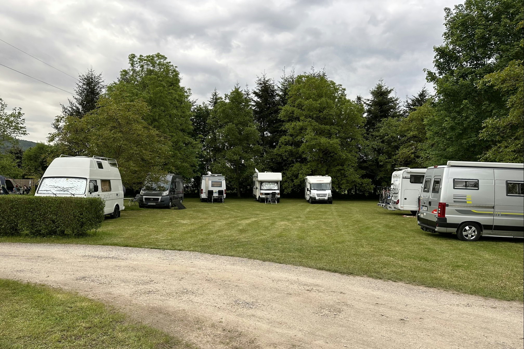 Wohnmobile und Campingbusse stehen auf einem gepflegten Rasenplatz, umgeben von Hecken und Bäumen.