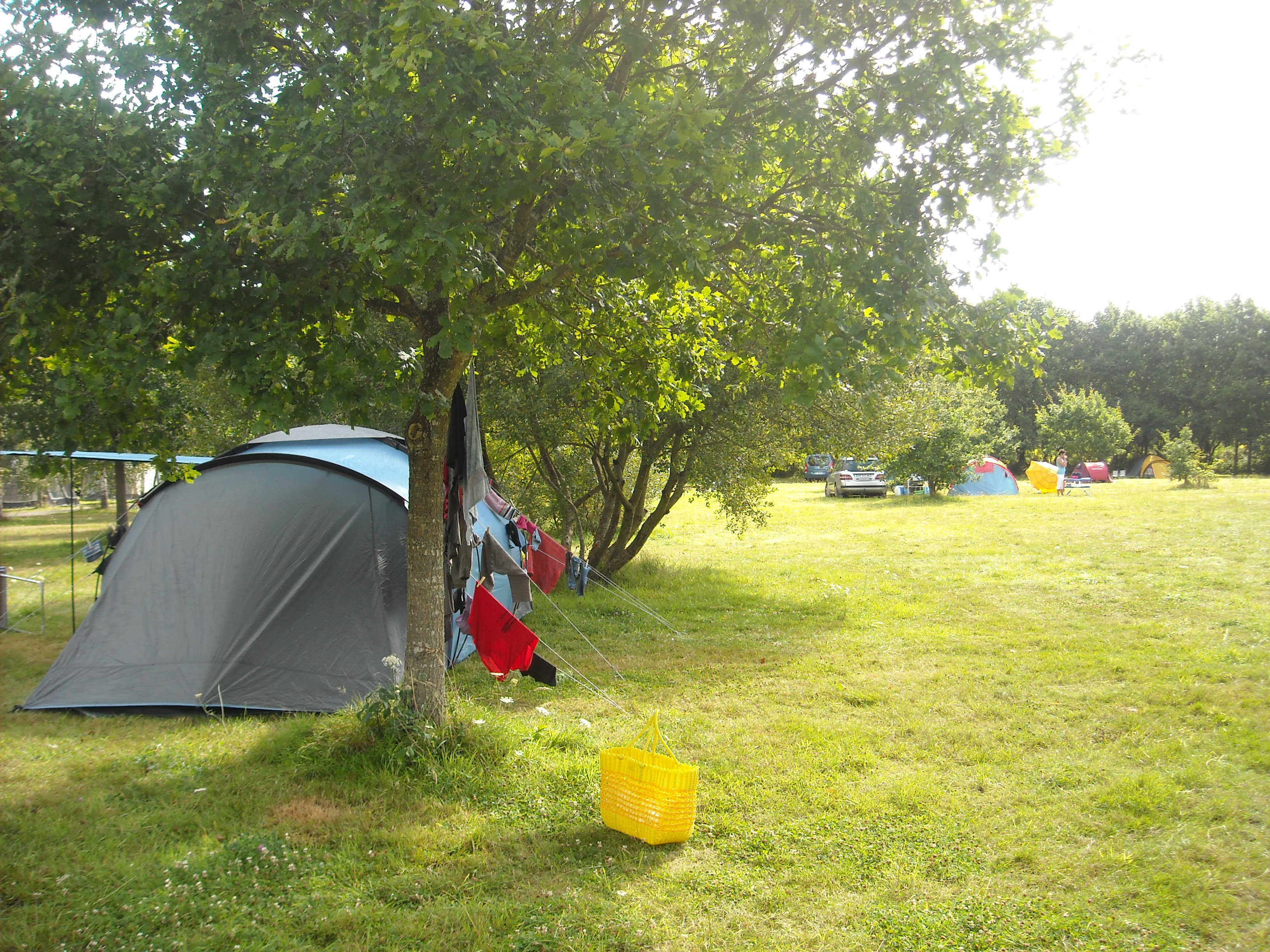 Zelt auf einem grünen Campingplatz, im Hintergrund weitere Zelte und Autos, Bäume spenden Schatten.